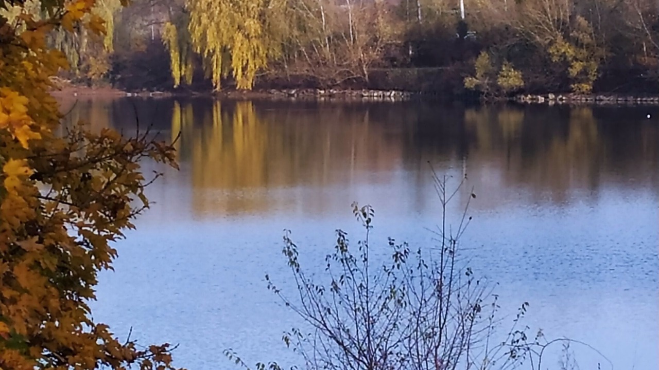 Photo of Outdoor in Bretigny-sur-Orge