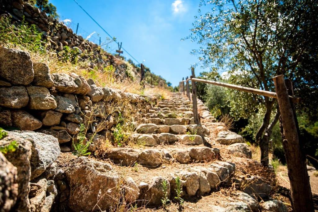 Photo of Others in Omessa