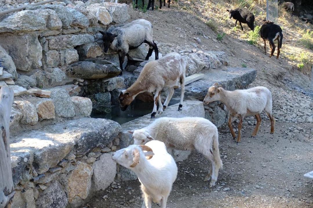 Photo of Others in Omessa