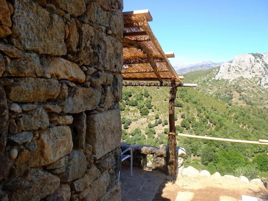 Photo of Others in Omessa