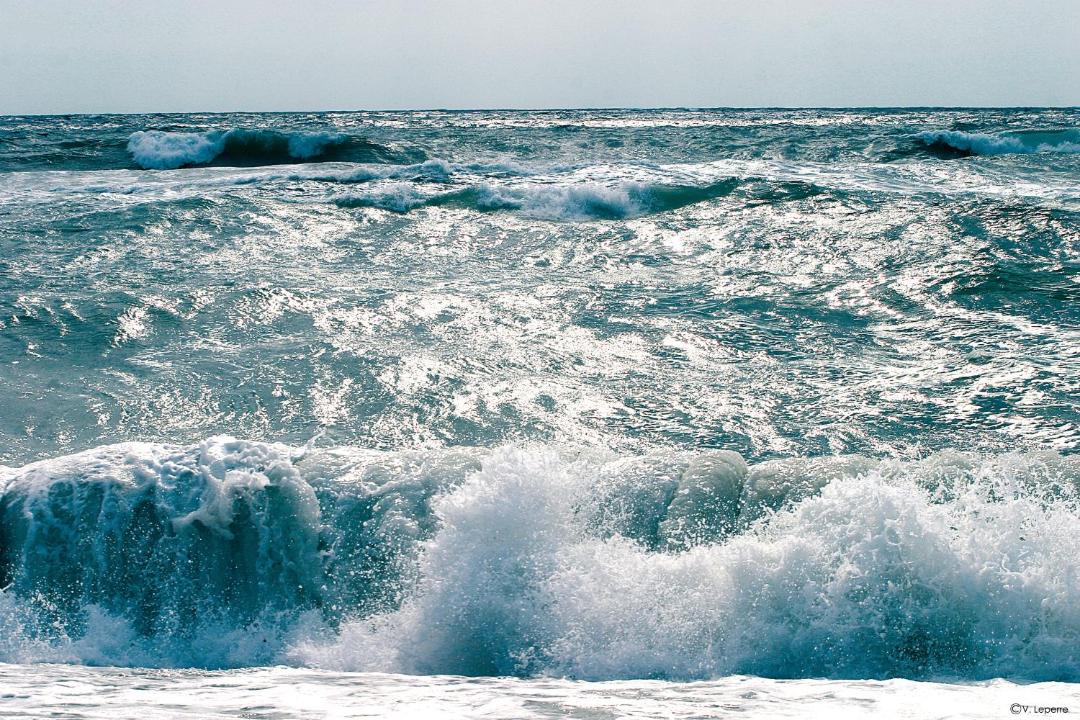 Photo of Outdoor in Les Issambres