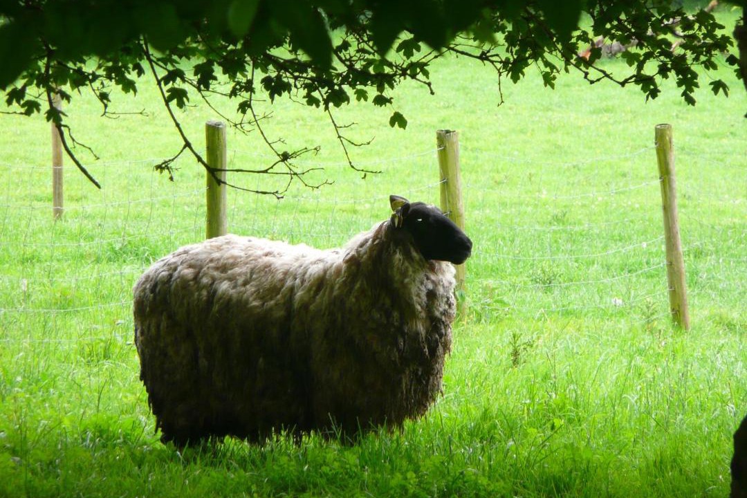 Photo of Others in Echinghen