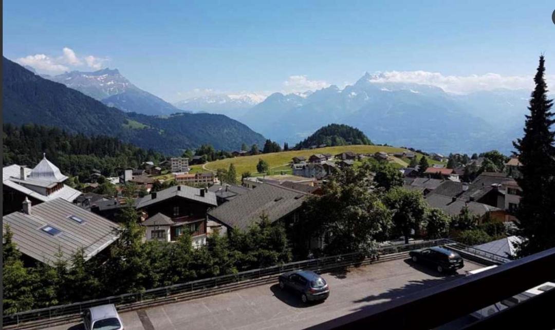 Photo of Others in Leysin