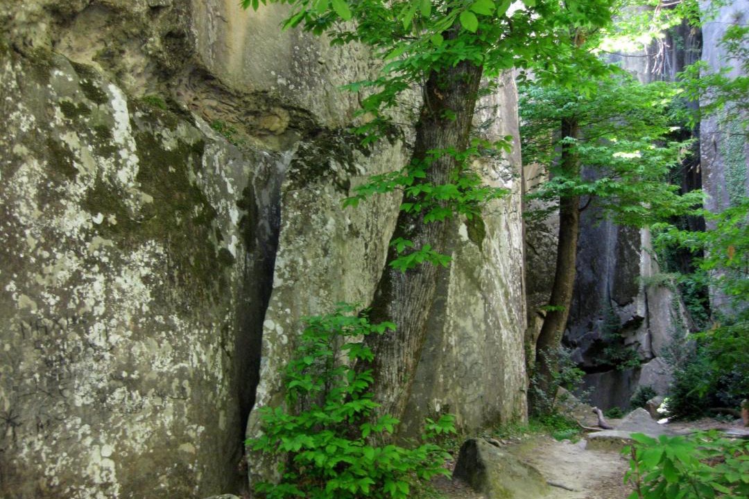 Photo of Others in Annot