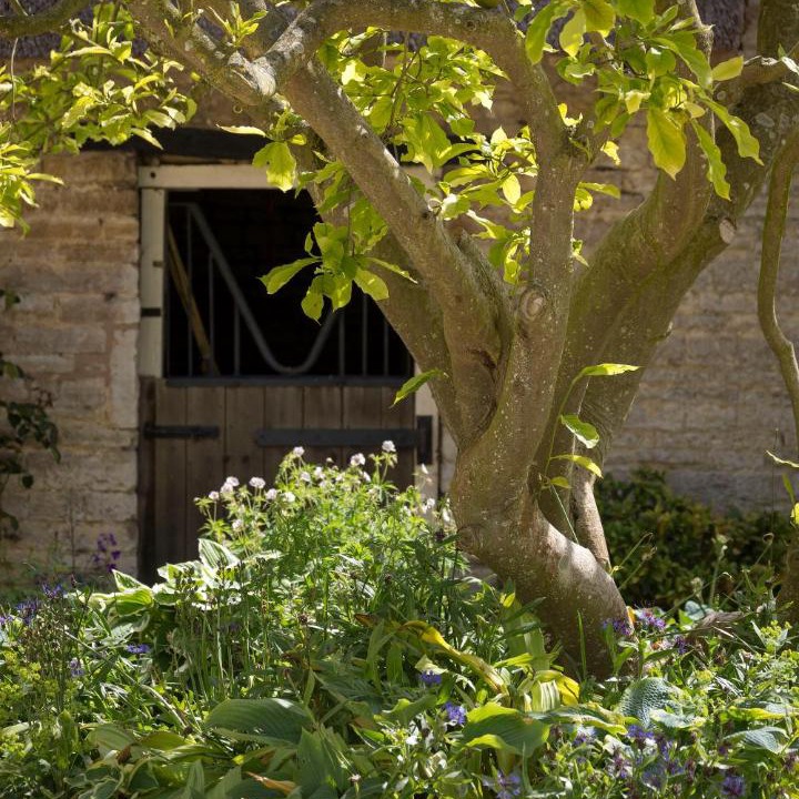 Photo of Others in Halford