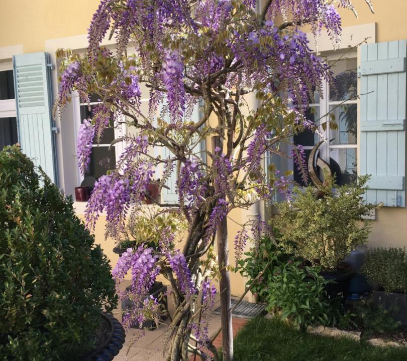 Photo of Others in Charolles