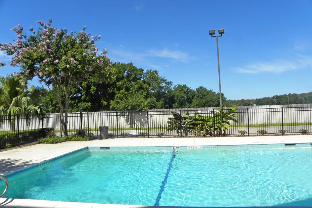 Photo of Others in Greater Greenspoint