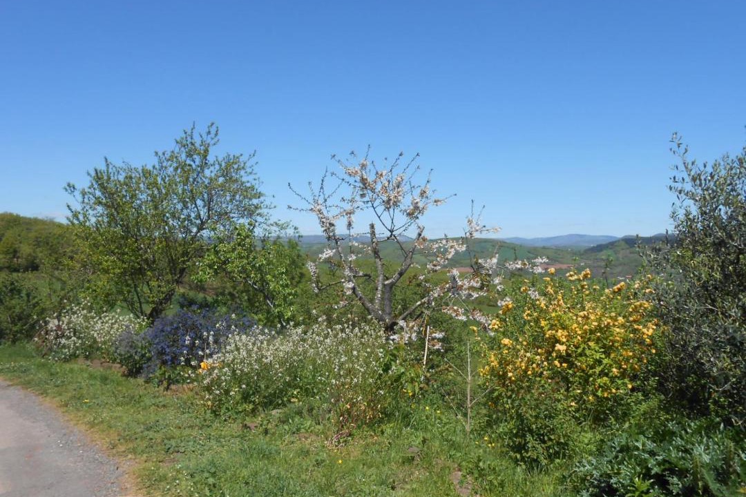 Photo of Others in Saint-Izaire