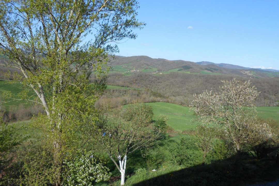 Photo of Others in Saint-Izaire