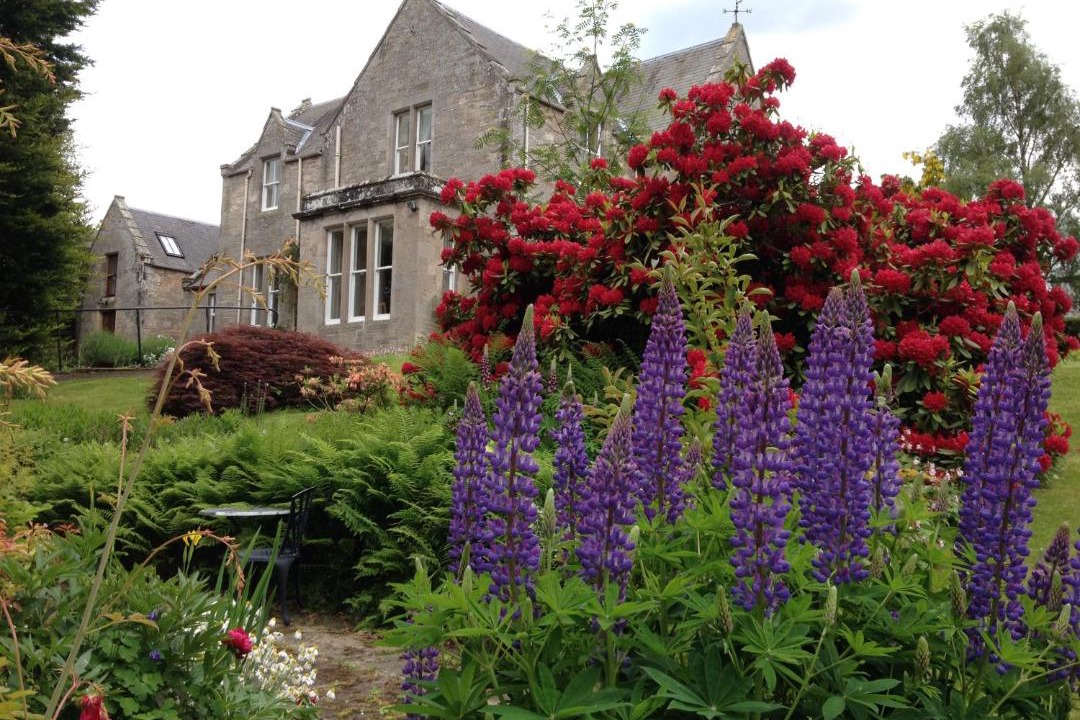 Photo of Others in Jedburgh