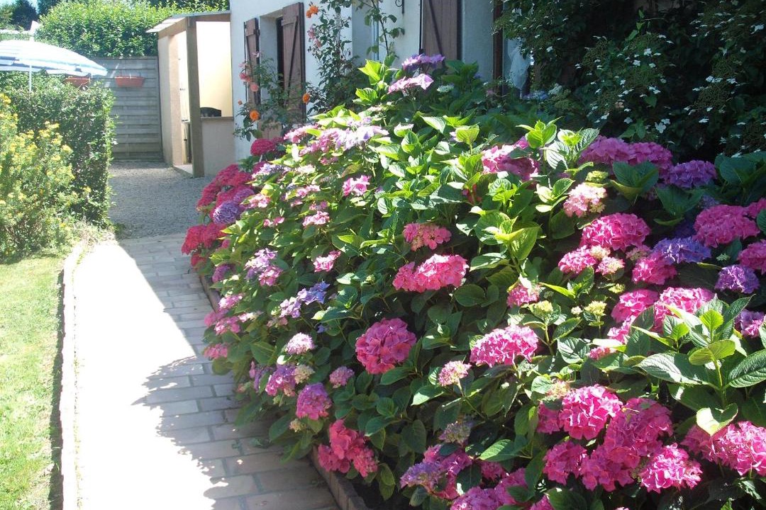 Photo of Others in Le Planet