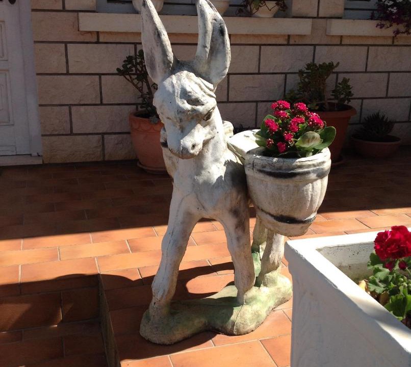 Photo of Others in Vela Luka