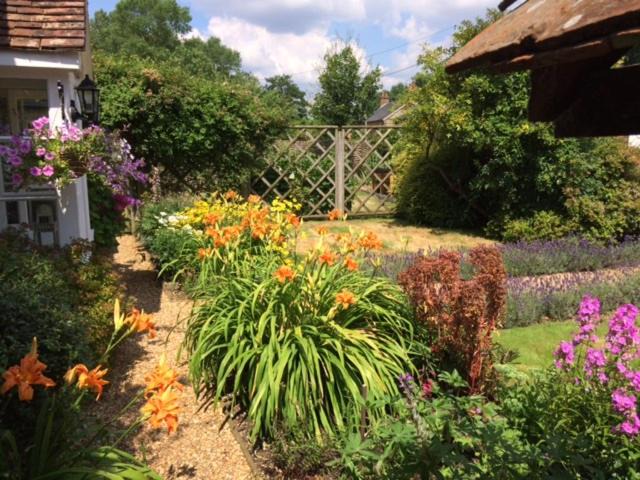 Photo of Others in Crondall