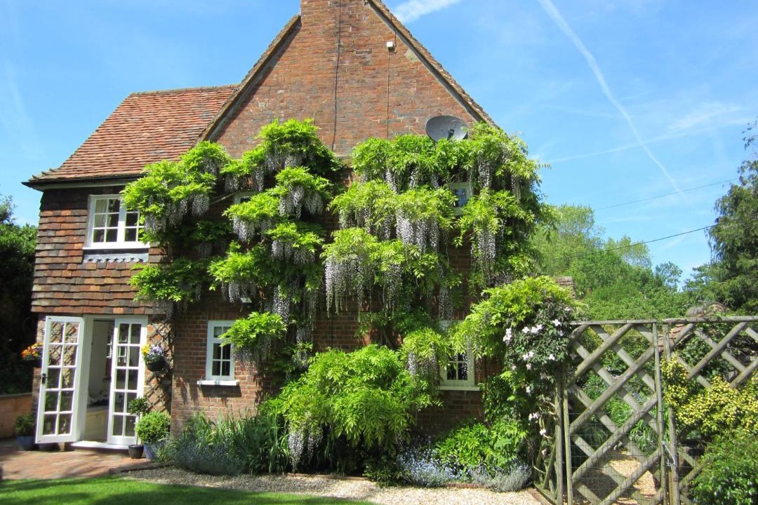 Photo of Buildings in Crondall