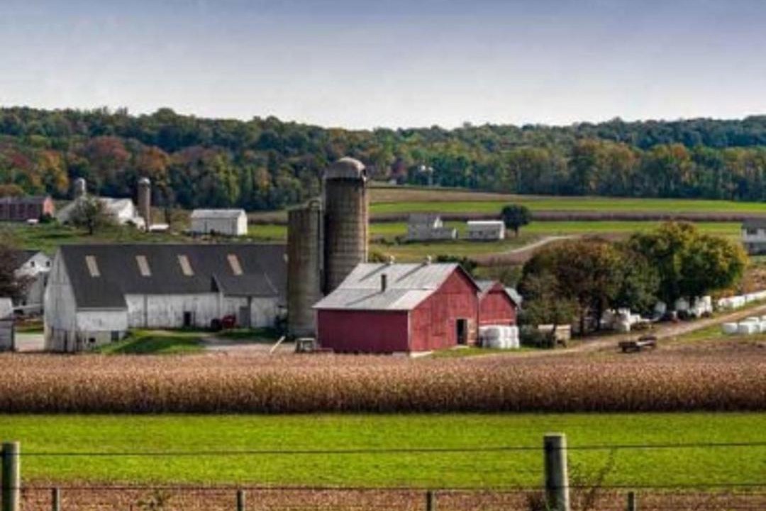 Photo of Others in Bird In Hand