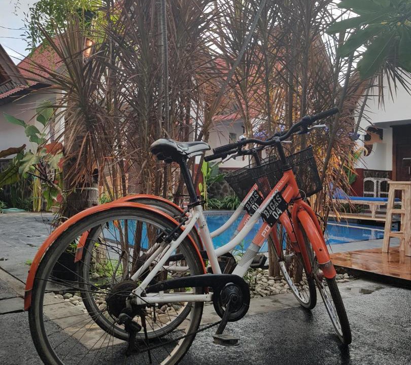 Photo of Others in Gili Trawangan