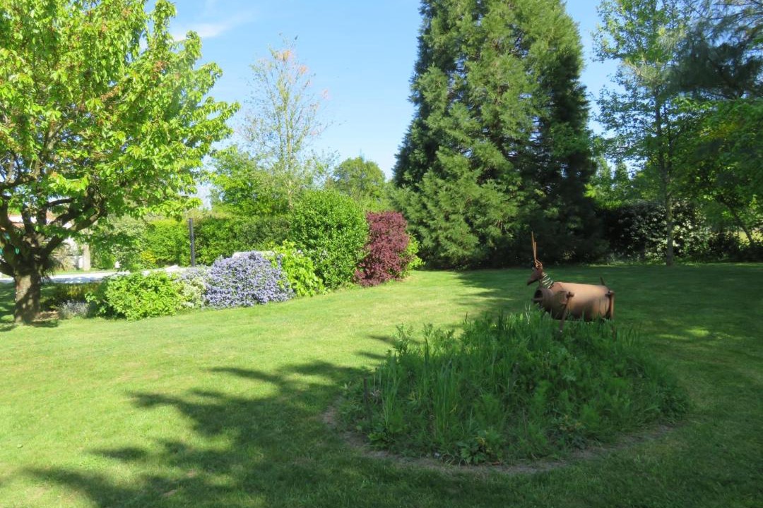 Photo of Outdoor in Les Herbiers