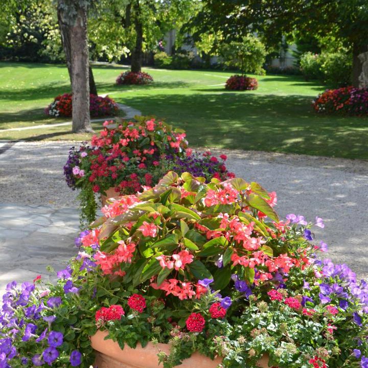 Photo of Others in Ludes