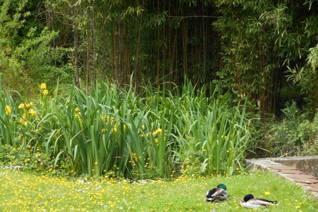 Photo of Others in Montreuil-le-Henri