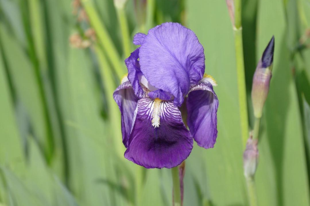 Photo of Others in Sourdeval