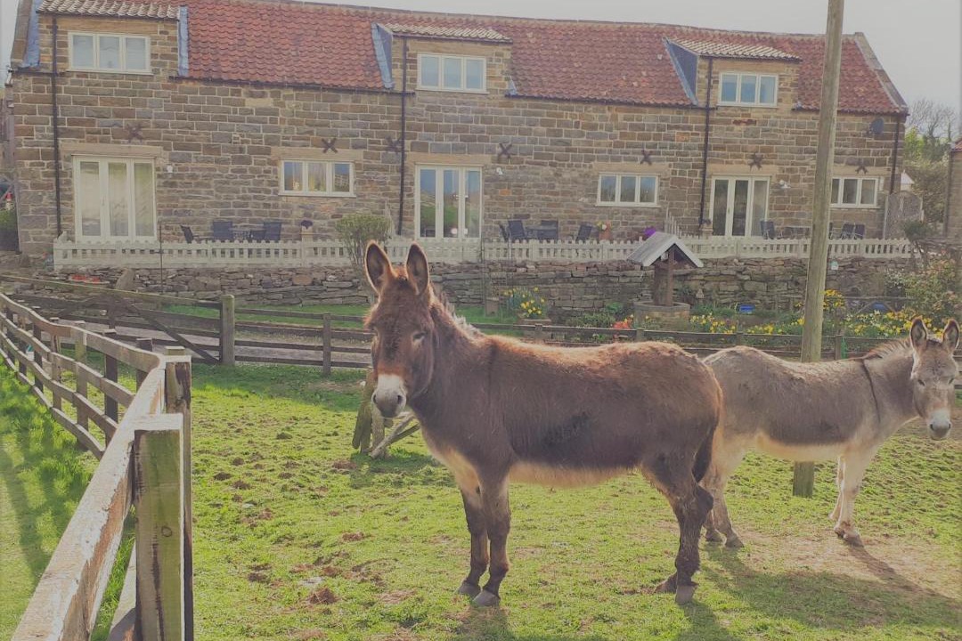 Photo of Others in Briggswath