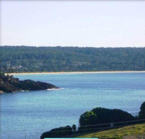 Photo of Others in Eden