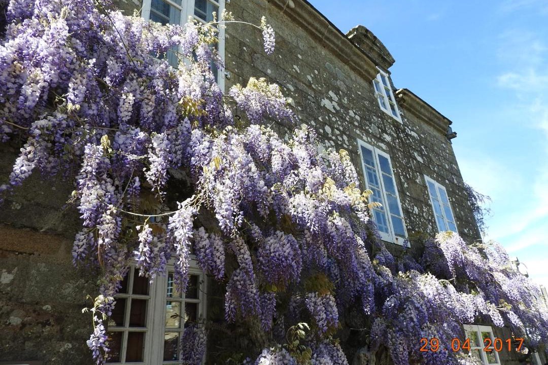 Photo of Others in Locronan