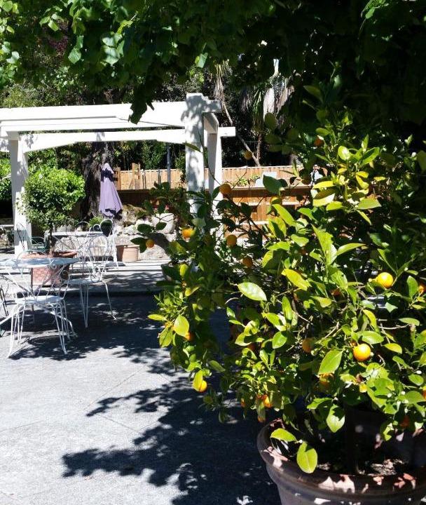 Photo of Others in La Colle-sur-Loup