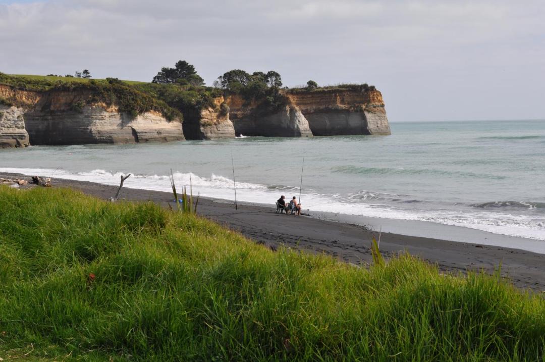 Photo of Others in Urenui