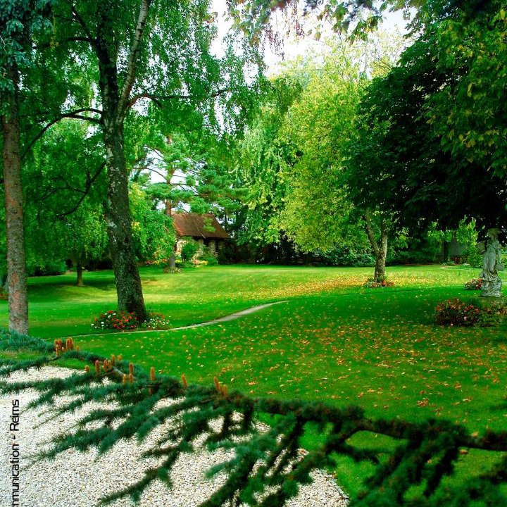 Photo of Others in Ludes