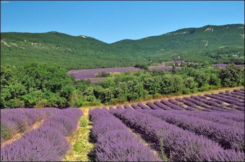 Photo of Others in Montjoux