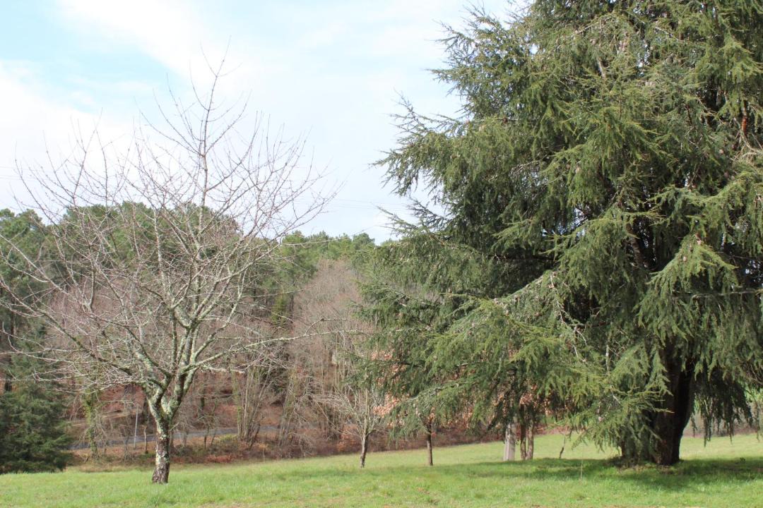 Photo of Others in Campsegret