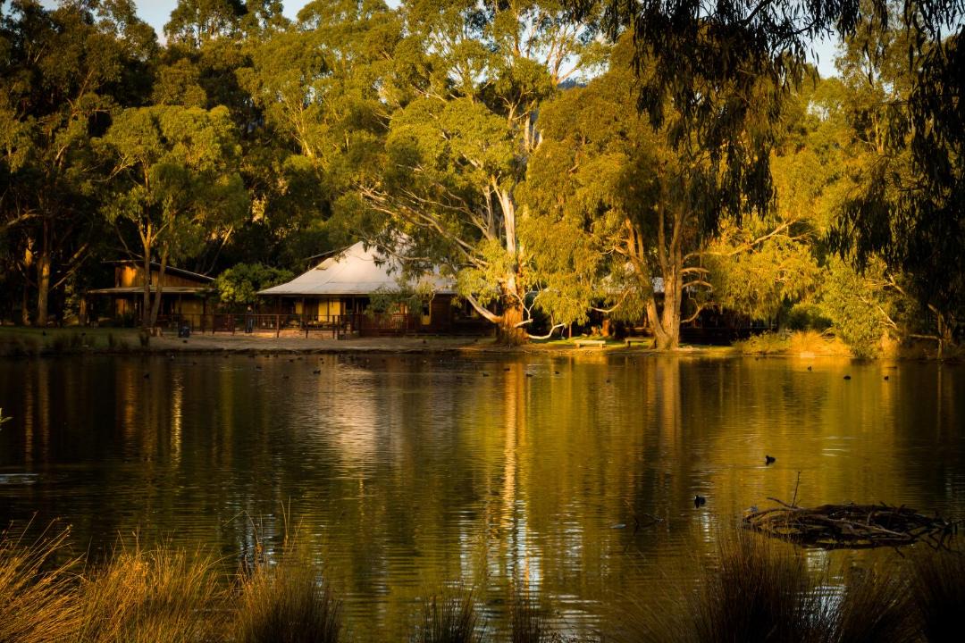 Photo of Others in Dixons Creek