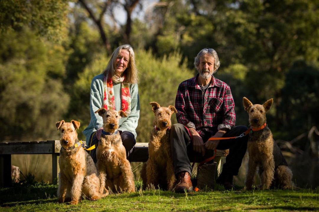 Photo of Human In Picture in Dixons Creek