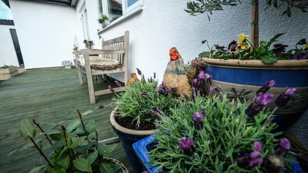 Photo of Others in Thornaby On Tees