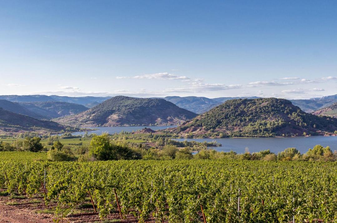 Photo of Others in Octon