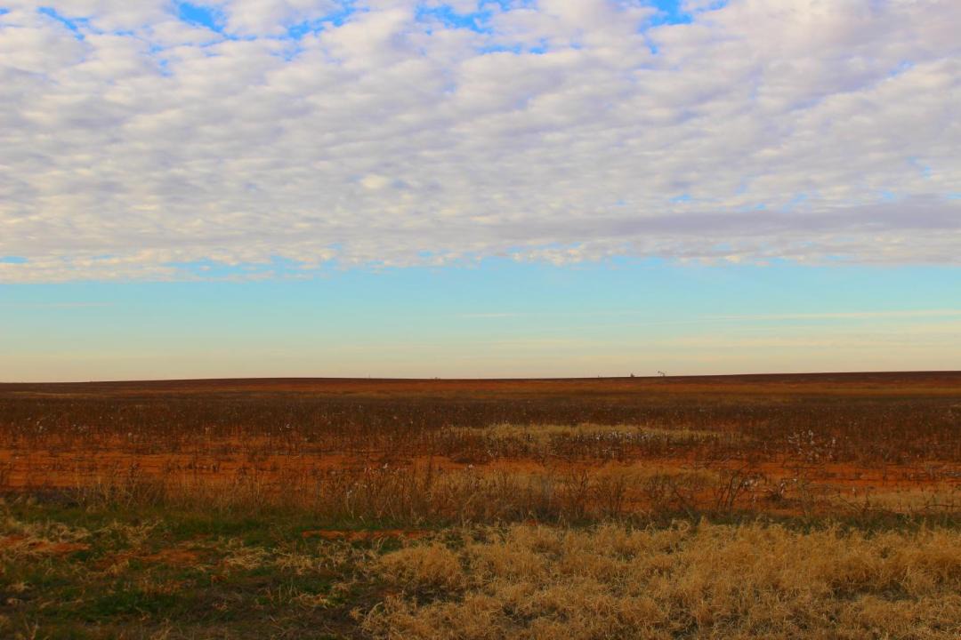 Photo of Others in Lamesa
