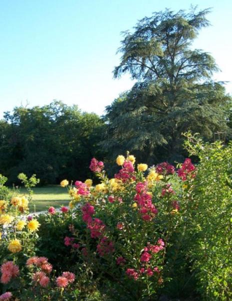 Photo of Others in Brinon-sur-Sauldre