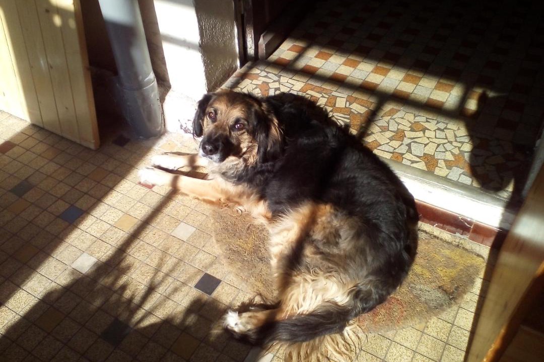 Photo of Others in Sore