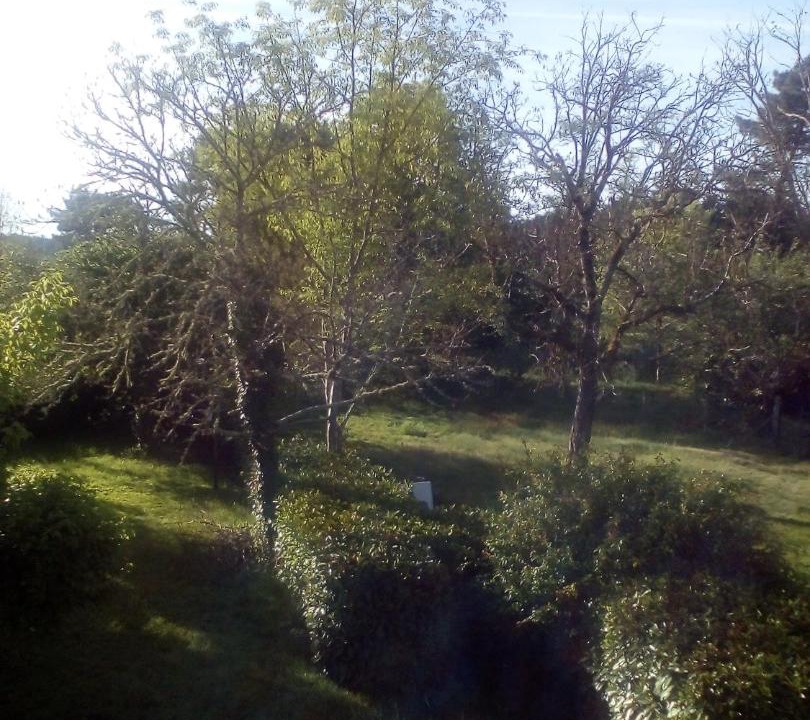 Photo of Others in Sore