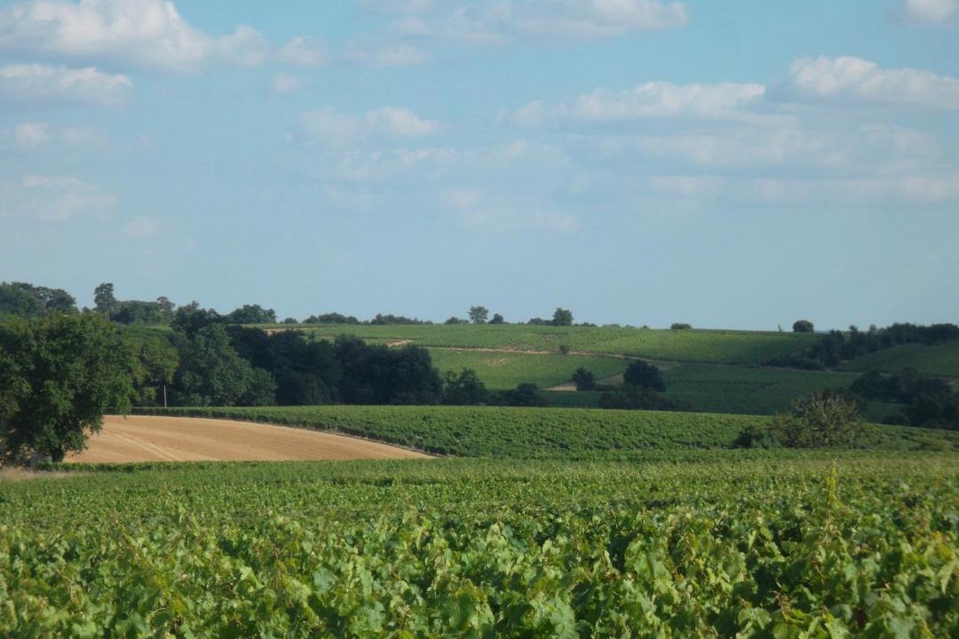 Photo of Others in Faye-d'Anjou