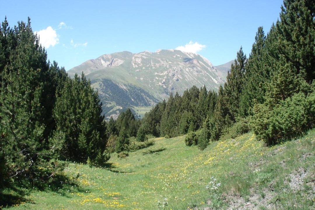 Photo of Others in Mas de Ribafeta