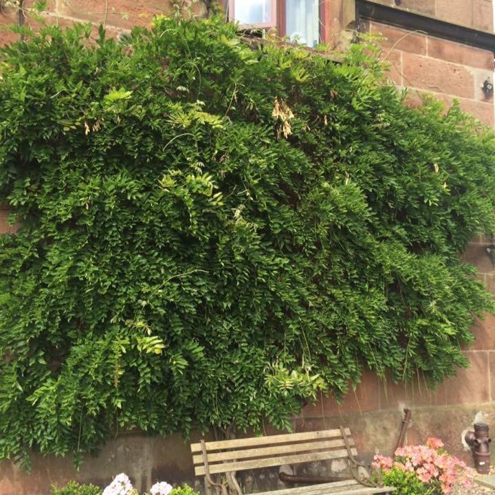 Photo of Buildings in High Ercall