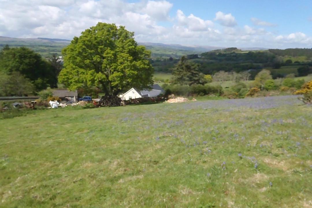 Photo of Others in Moretonhampstead