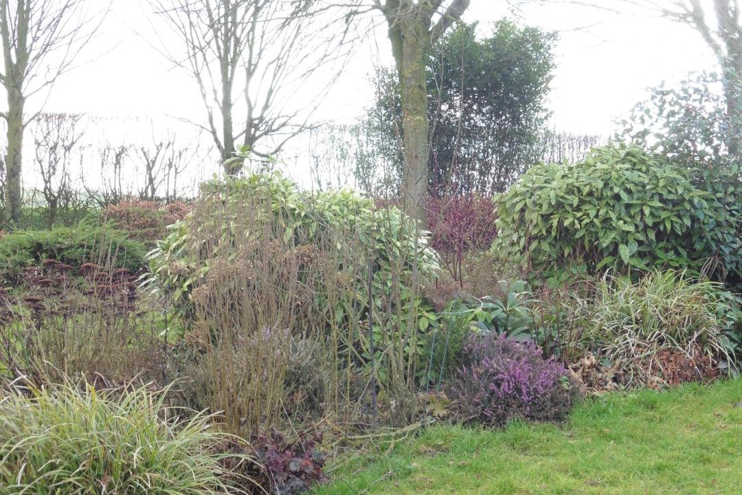 Photo of Others in Conchy-sur-Canche