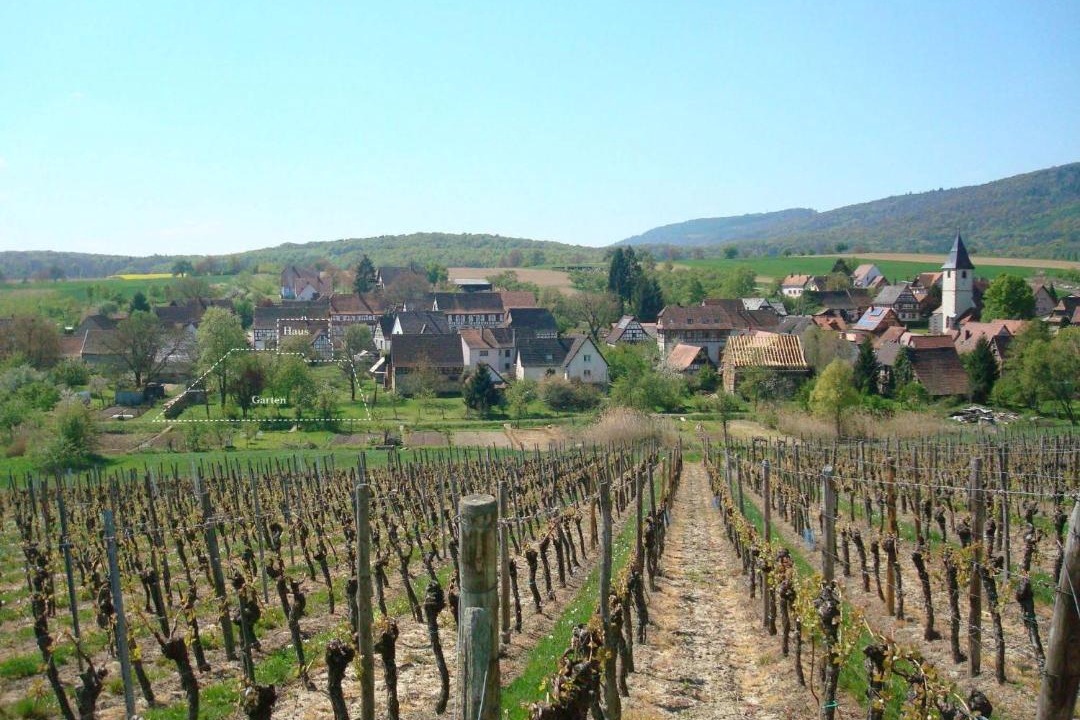 Photo of Others in Cleebourg