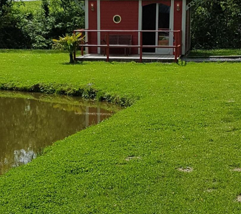 Photo of Buildings in Planquery