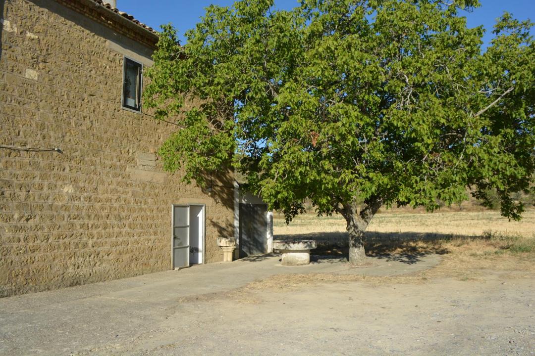 Photo of Others in Ayerbe