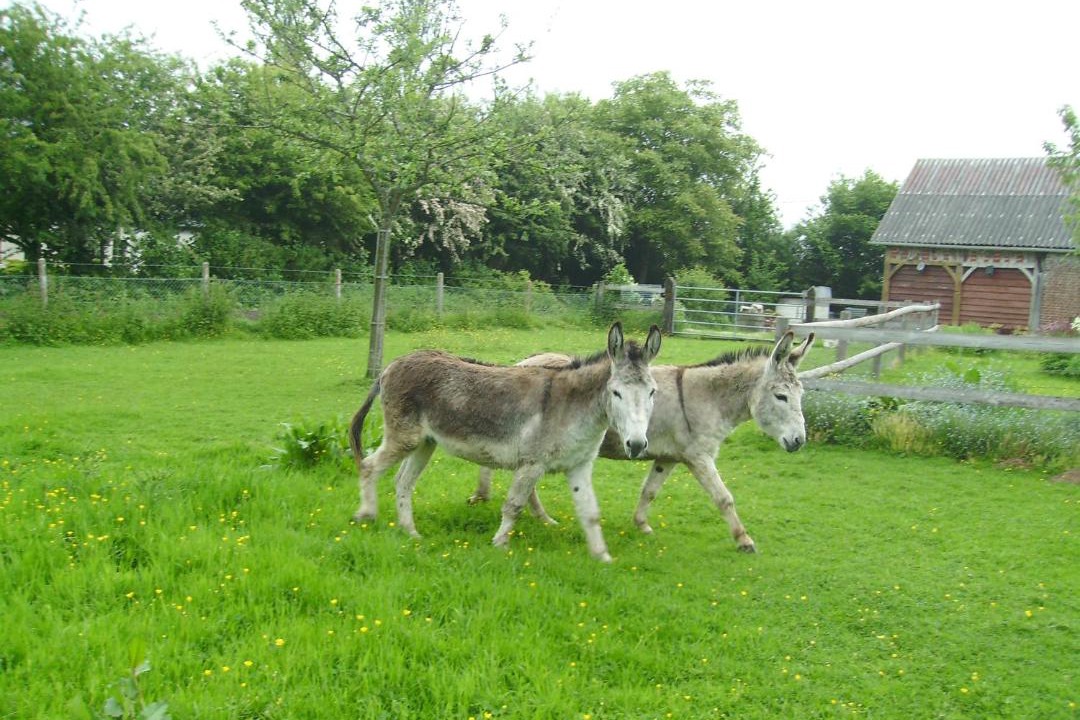 Photo of Others in Fourneville