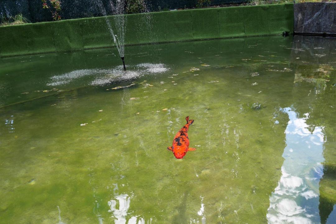 Photo of Others in Salernes